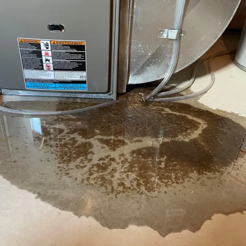 Appliance Leak Cleanup in Martinsville, IN