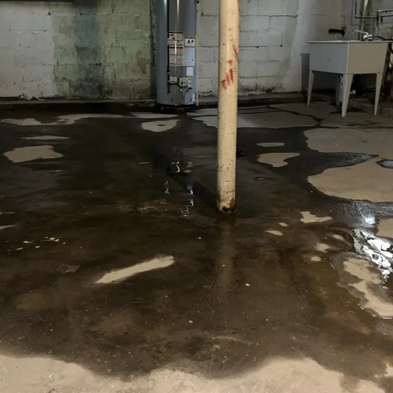 Emergency Water Extraction And Removal in Martinsville, IN